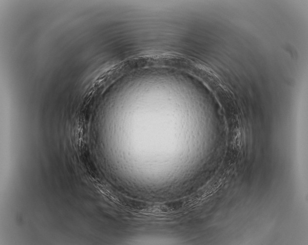 X0000113210966200909171531