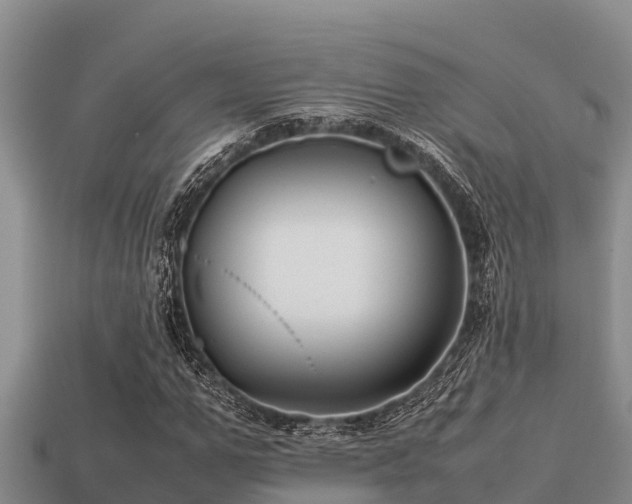 X0000113210967200909171531