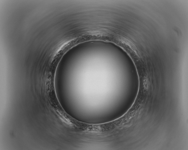 X0000113210968200909171531