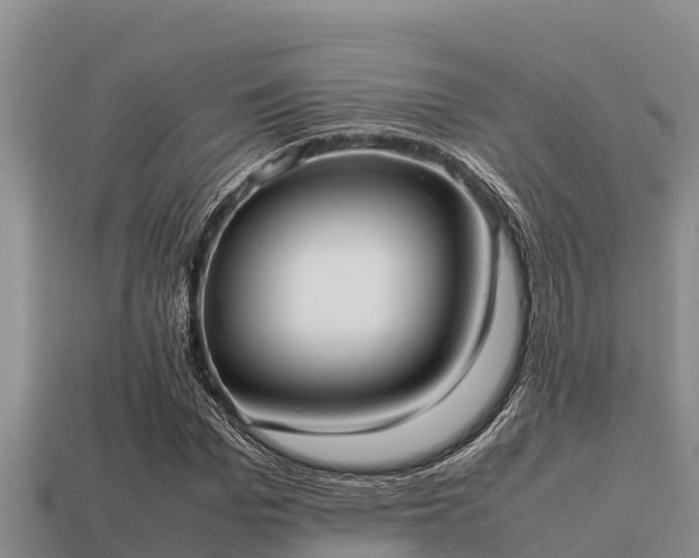 X0000113210969200909171531