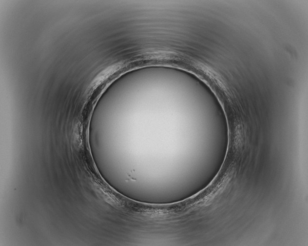 X0000113210970200909171531