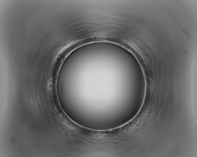 X0000113210971200909171531