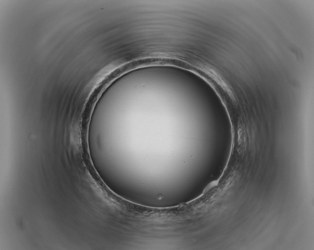 X0000113210972200909171531