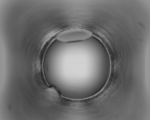 X0000113210973200909171531