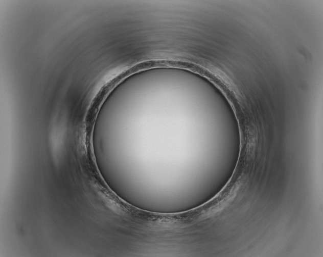 X0000113210974200909171531