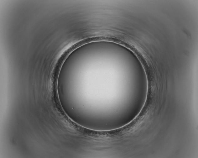 X0000113210975200909171531