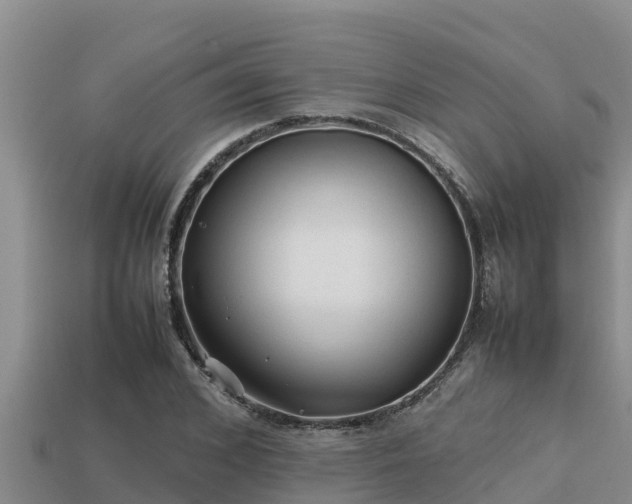 X0000113210976200909171531