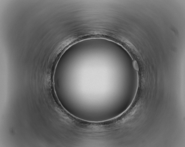 X0000113210977200909171531