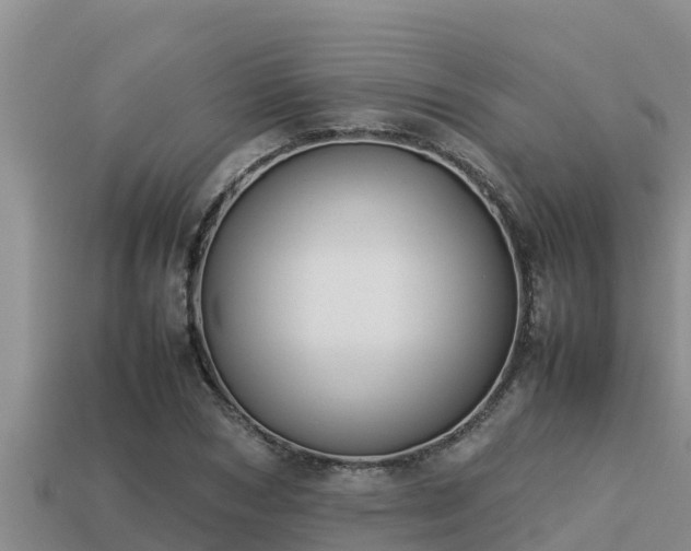 X0000113210978200909171531