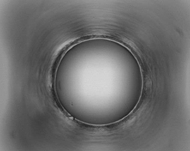 X0000113210979200909171531