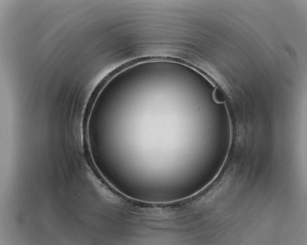 X0000113210980200909171531