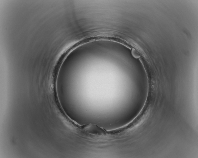 X0000113210981200909171531