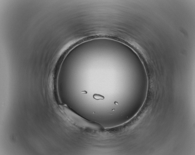 X0000113210983200909171531