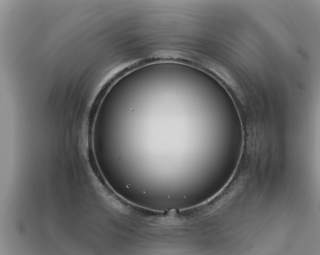 X0000113210984200909171531