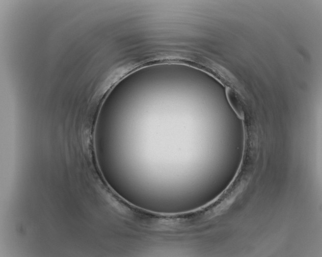 X0000113210985200909171531