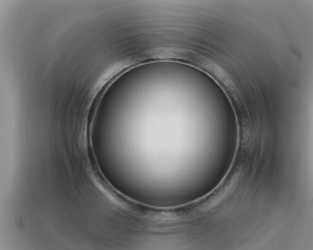 X0000113210986200909171531