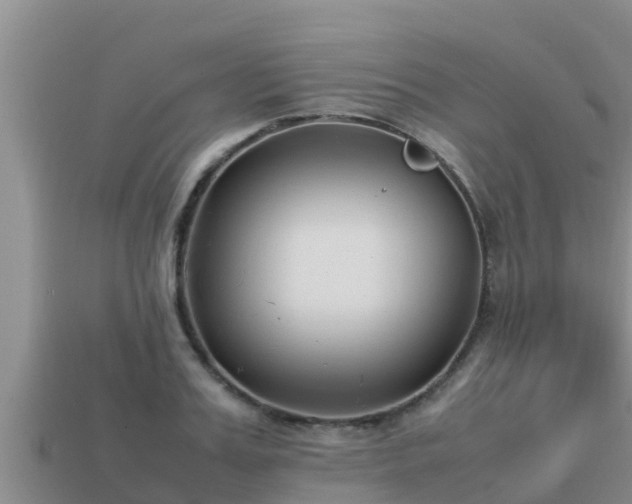 X0000113210987200909171531