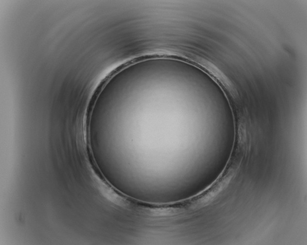 X0000113210988200909171530