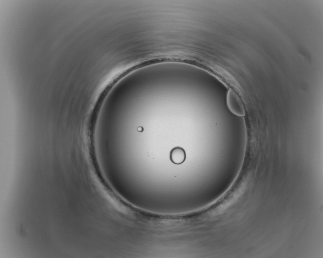 X0000113210989200909171530