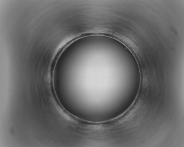 X0000113210990200909171530