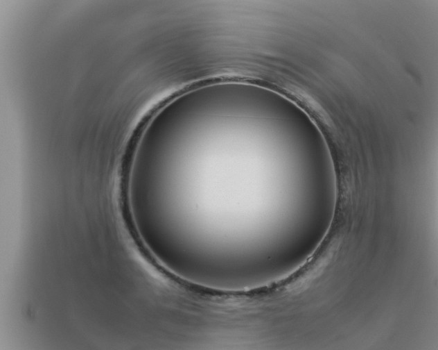 X0000113210991200909171530