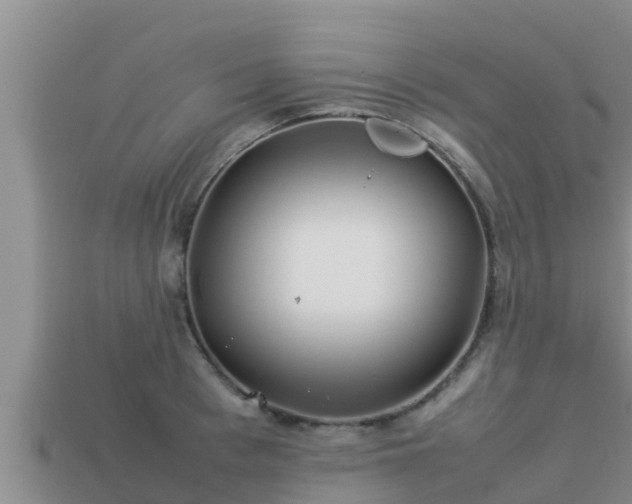 X0000113210993200909171530