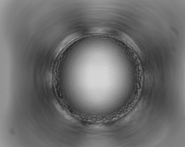 X0000113210994200909171530