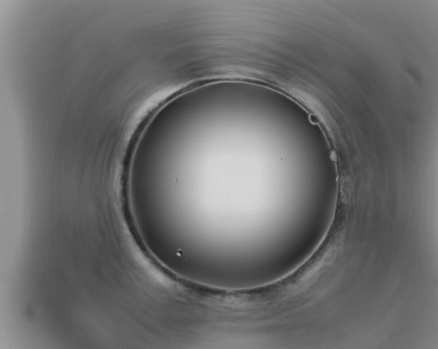 X0000113210995200909171530