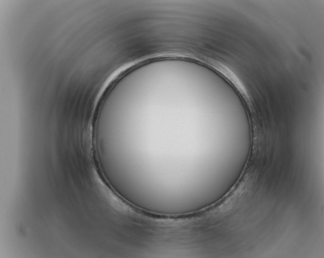 X0000113210996200909171530