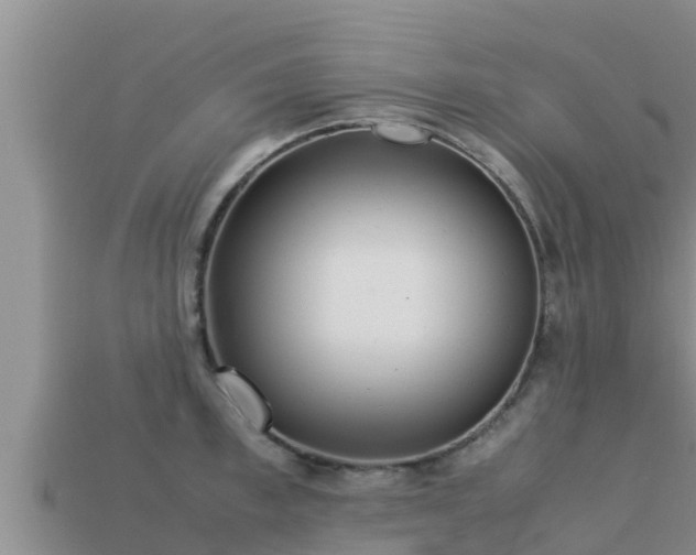 X0000113210997200909171530