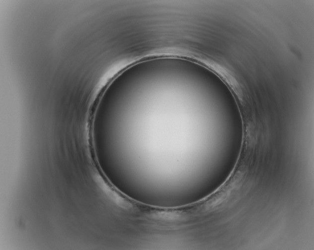 X0000113210998200909171530