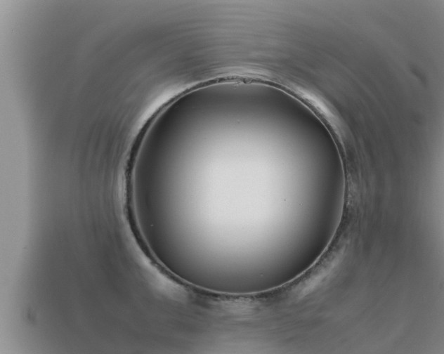 X0000113210999200909171530