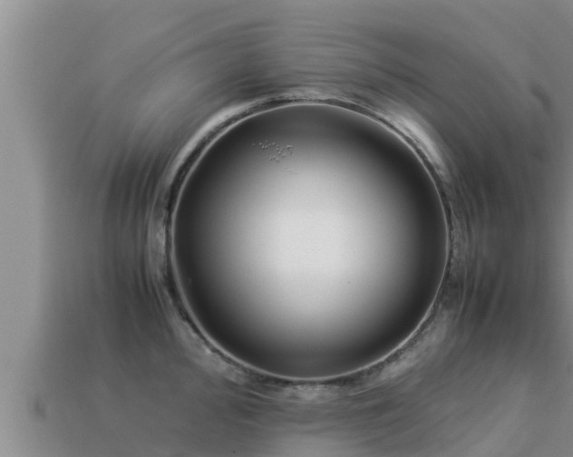 X0000113211000200909171530