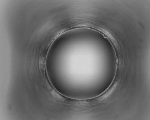 X0000113211001200909171530