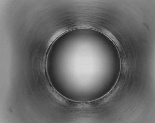 X0000113211002200909171530