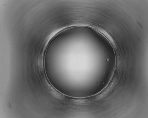 X0000113211004200909171530