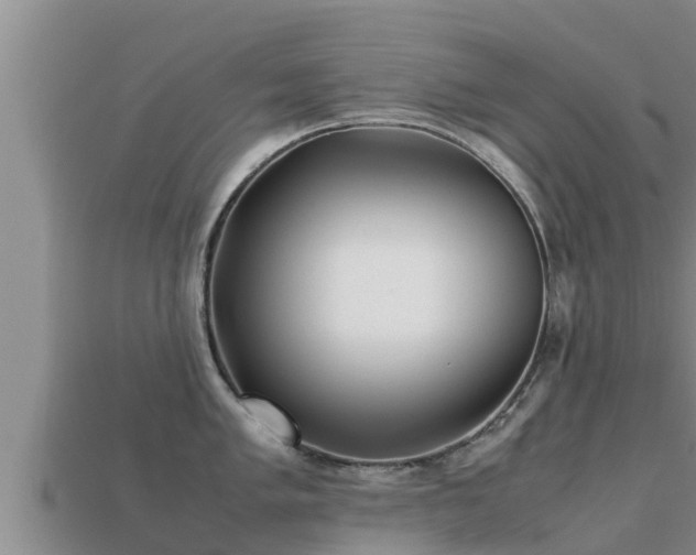 X0000113211005200909171530