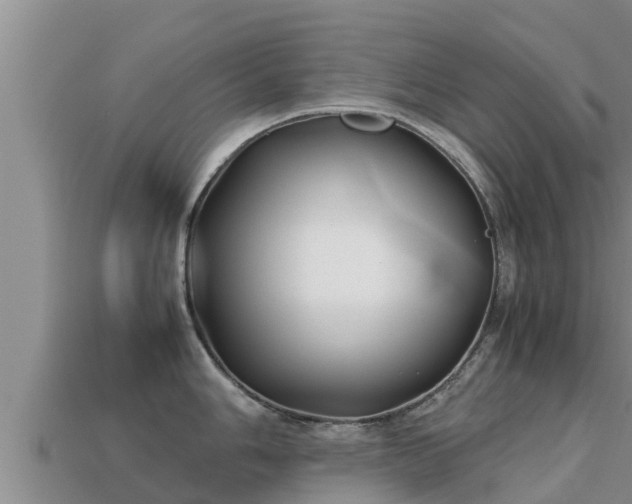 X0000113211006200909171530