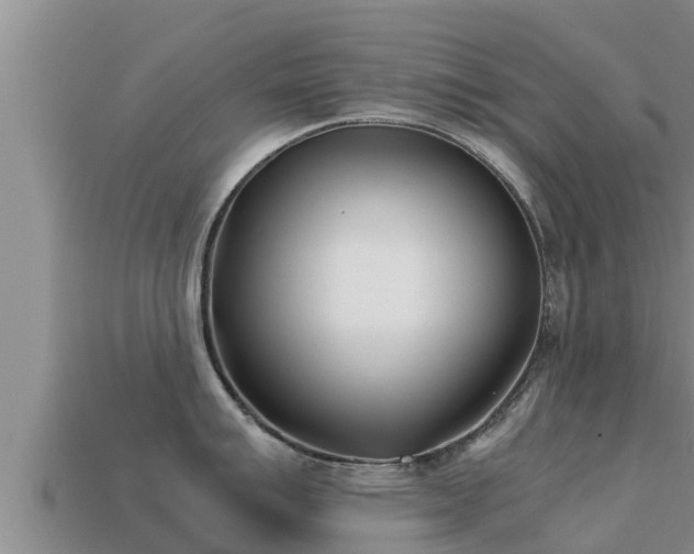 X0000113211007200909171530