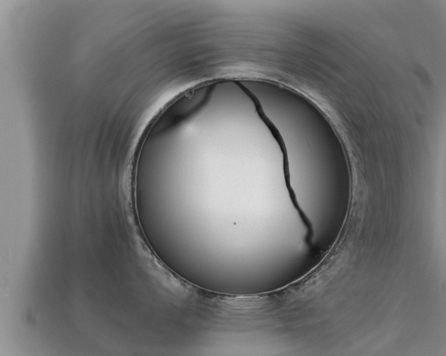 X0000113211008200909171530