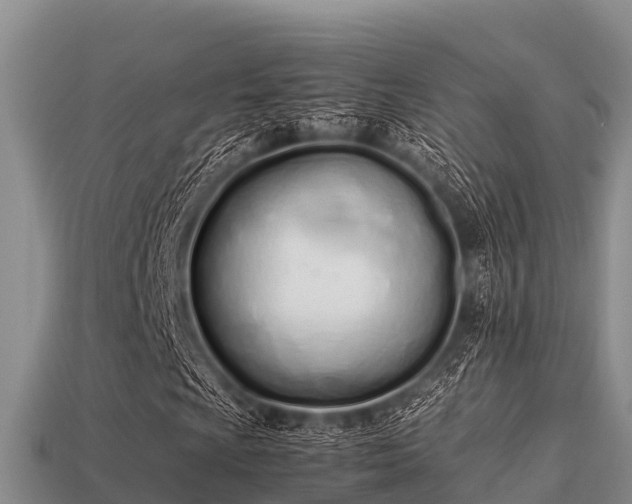 X0000113211009200909171530