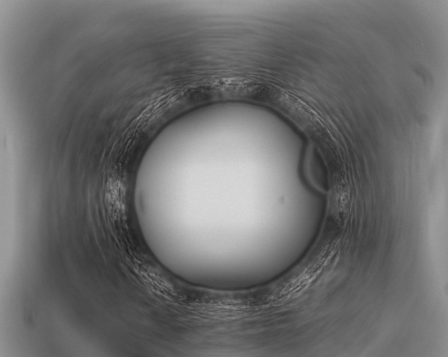 X0000113211010200909171530