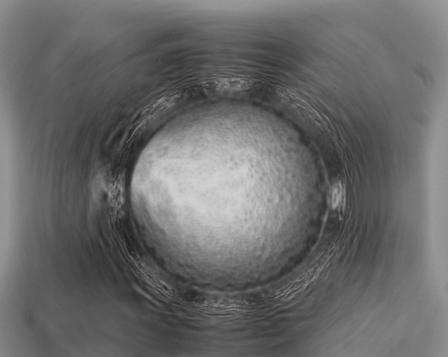 X0000113211011200909171530