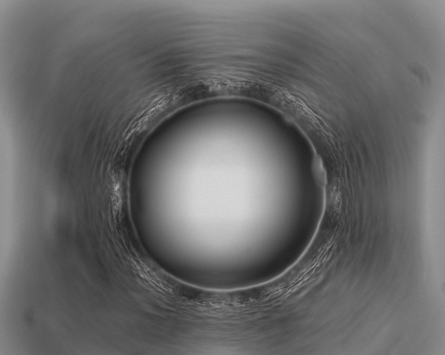 X0000113211012200909171530