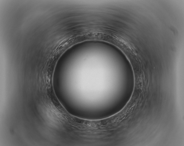 X0000113211013200909171530