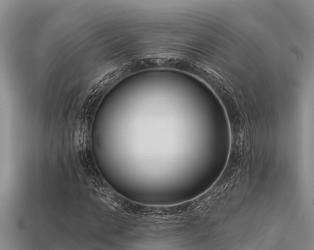 X0000113211014200909171530