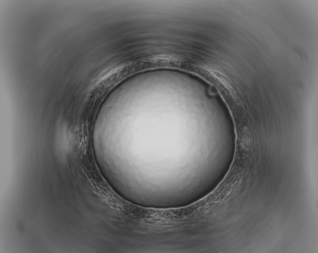 X0000113211015200909171530