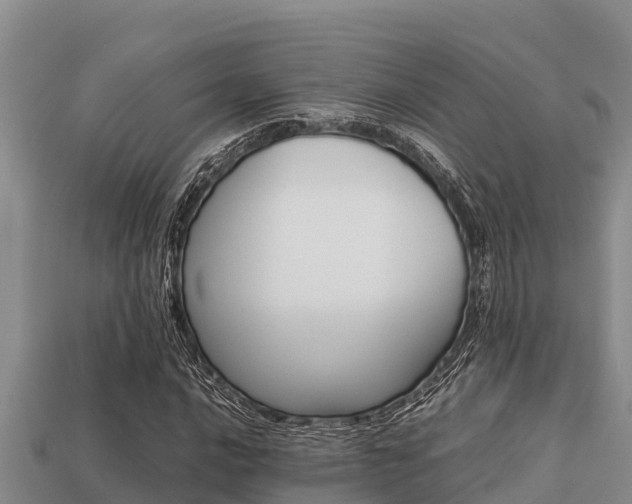 X0000113211016200909171530