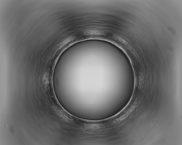 X0000113211017200909171530