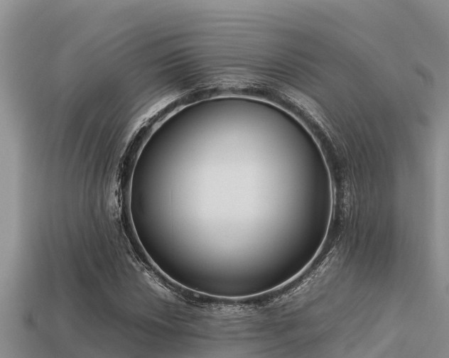 X0000113211018200909171530